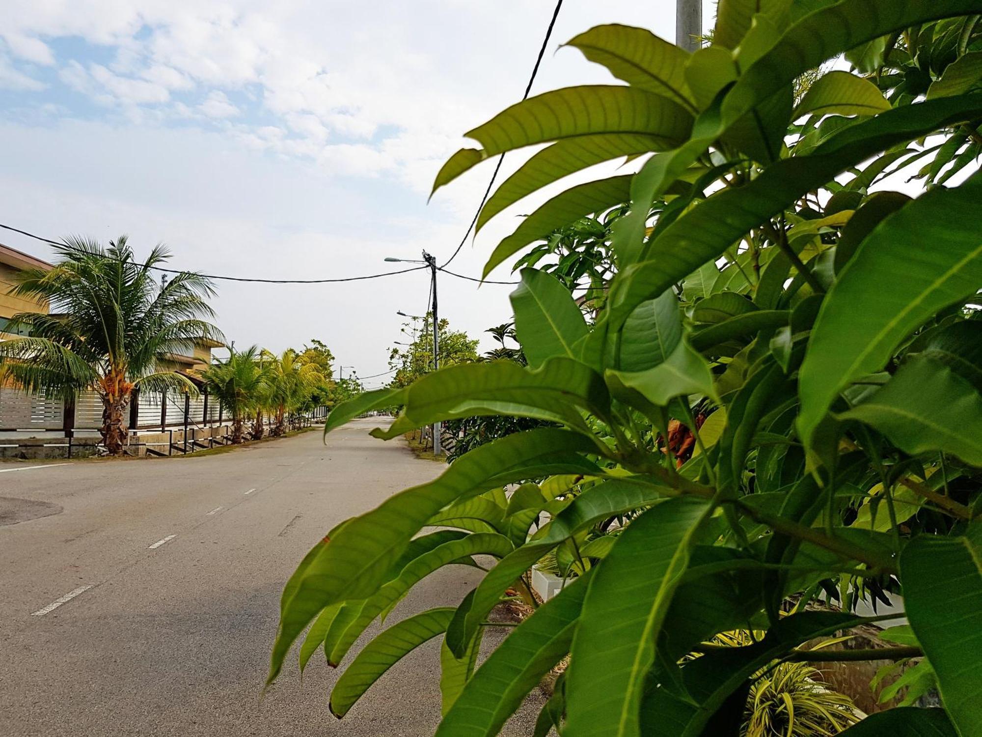 Siantan In Paya Rumput Near Std Hang Jebat, Sg Udang & Uitm Lendu Malacca Buitenkant foto